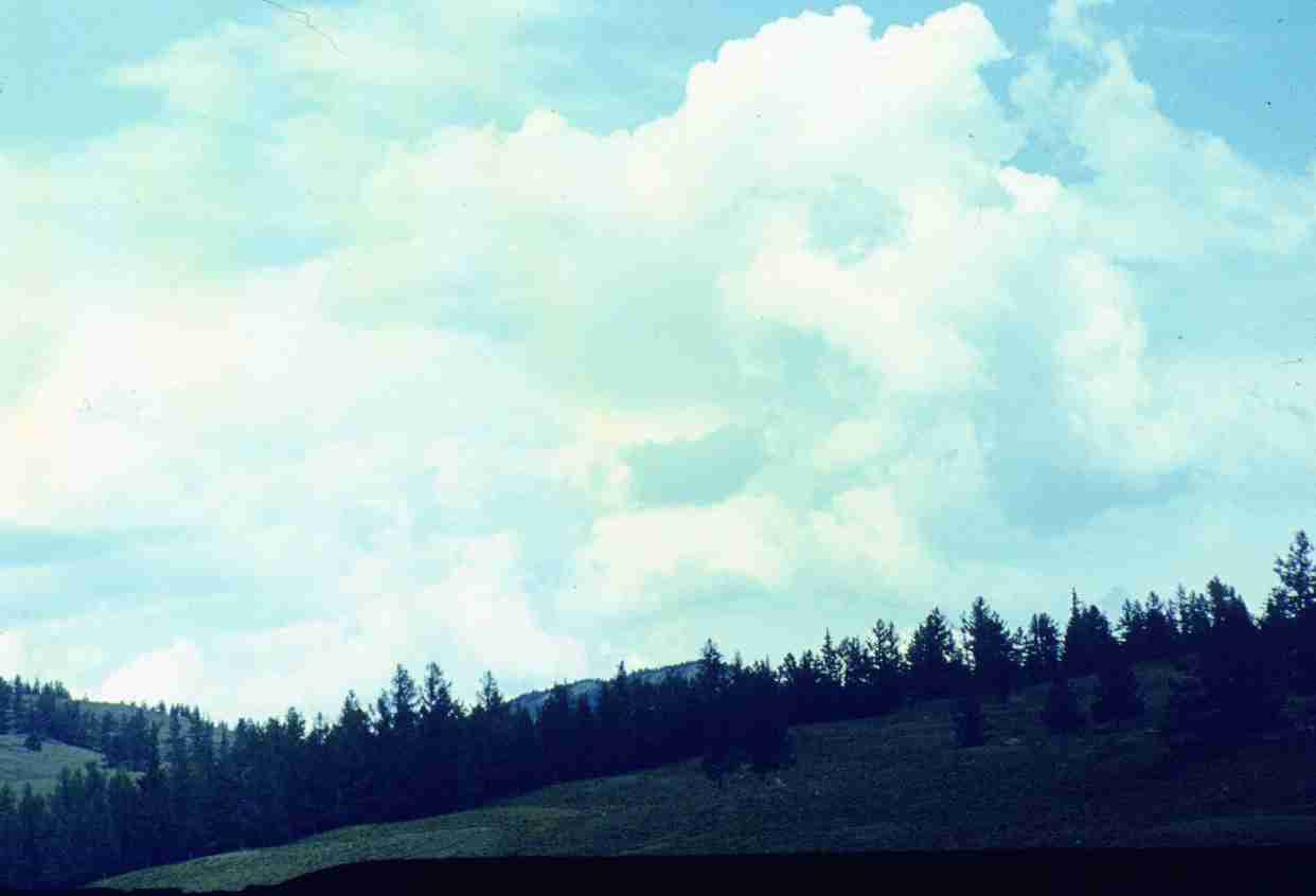 050.jpg