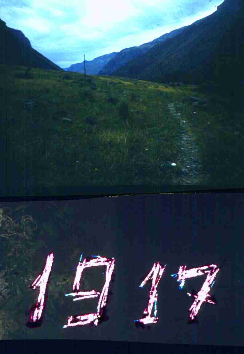 120.jpg