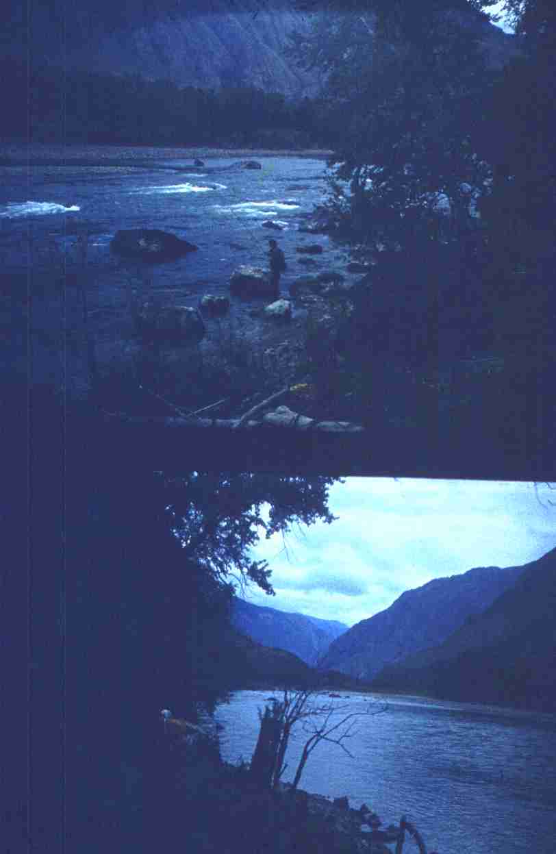 154.jpg