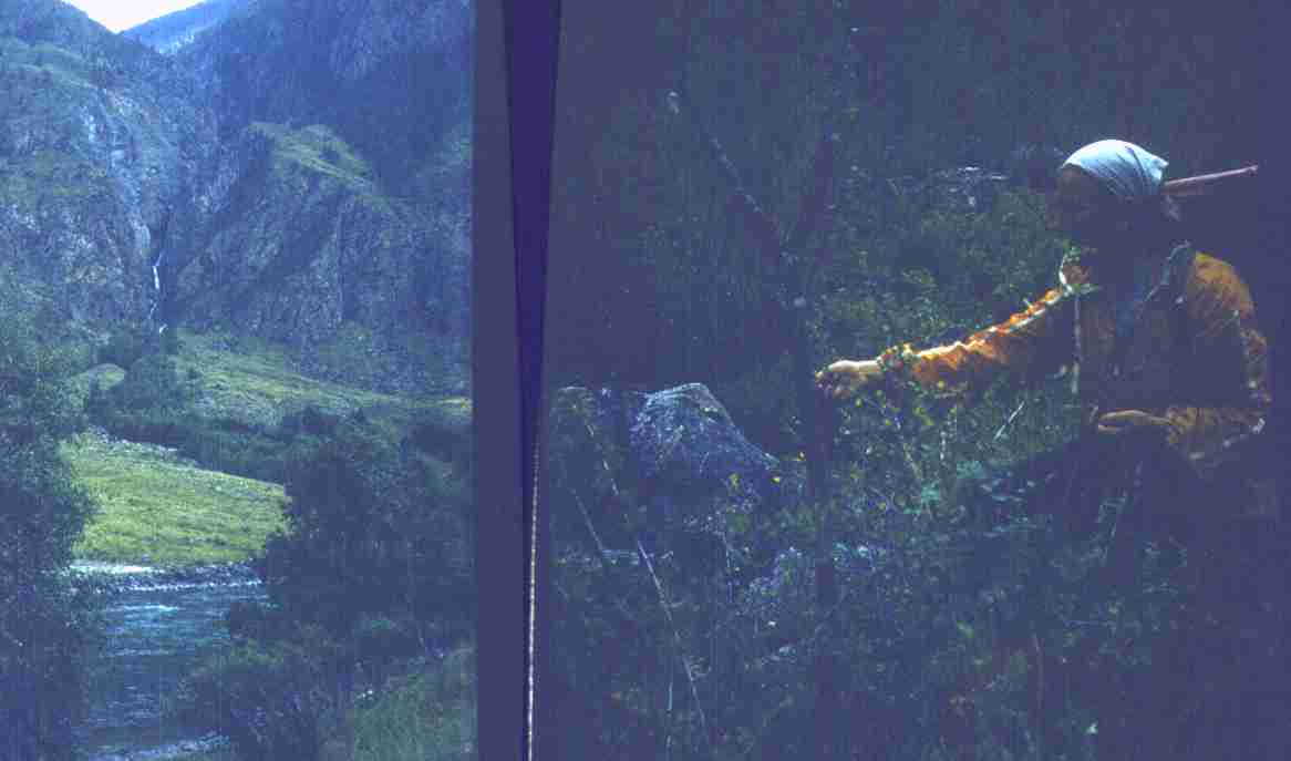 174.jpg