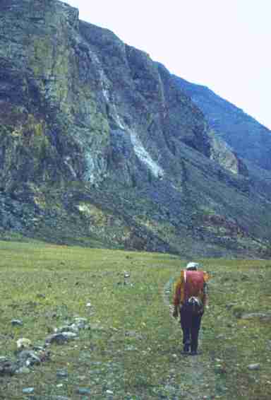 175.jpg