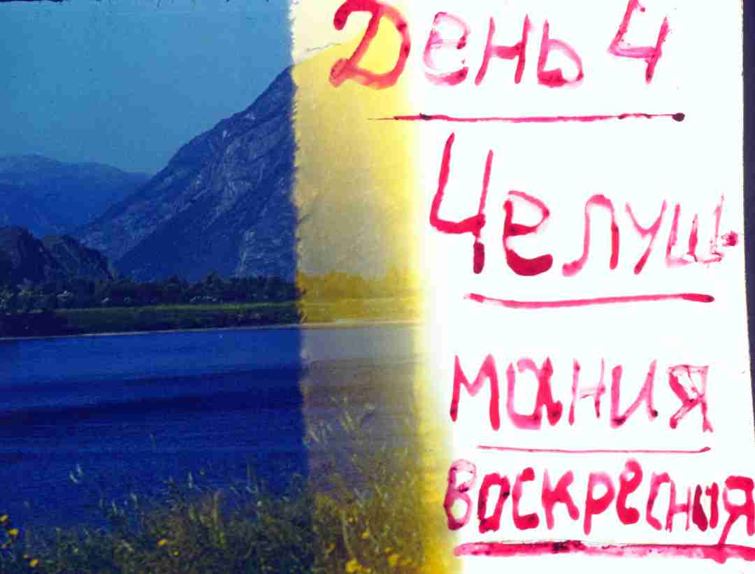 194.jpg