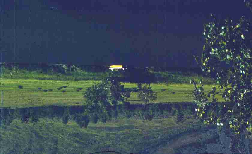 195.jpg