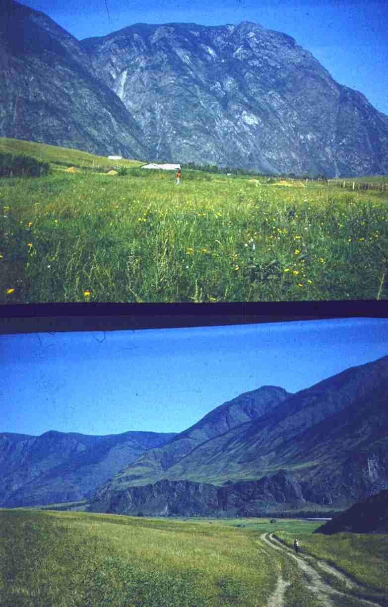 208.jpg