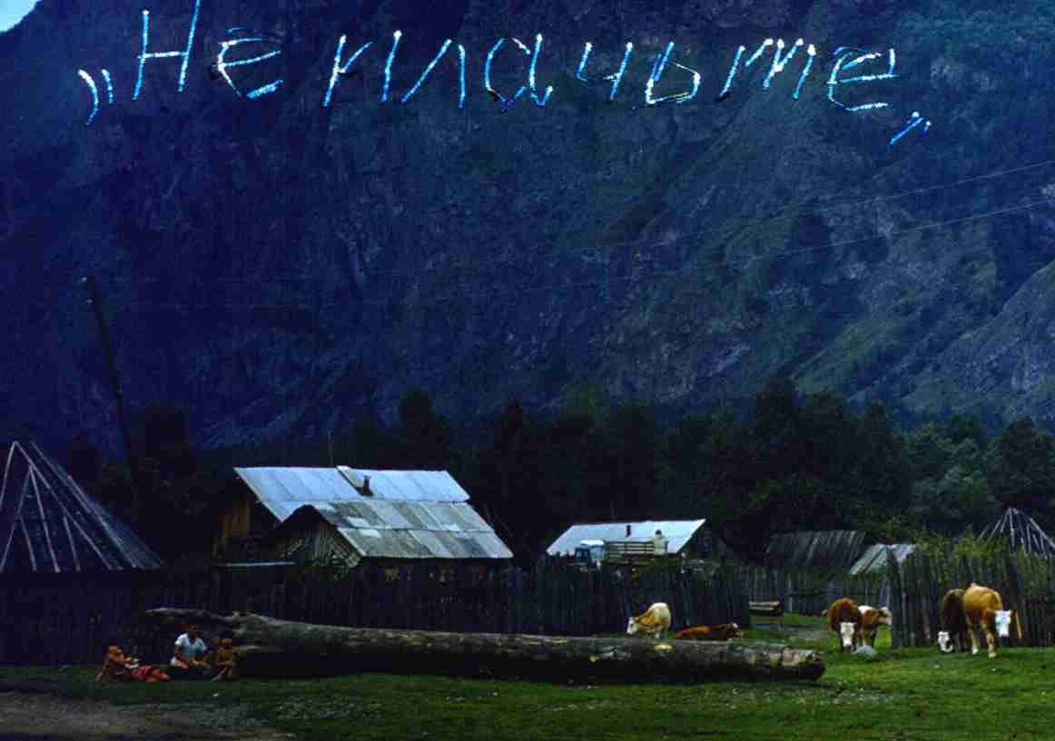 255.jpg