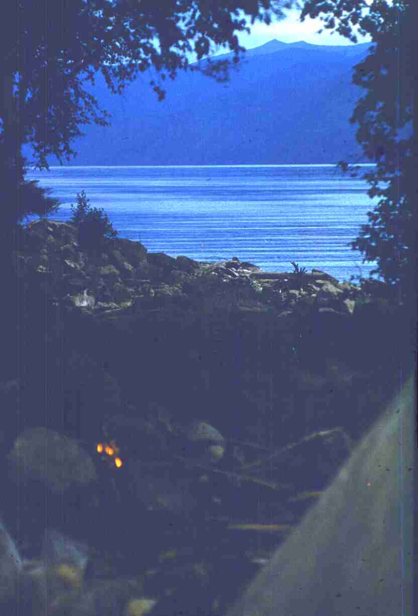 265.jpg