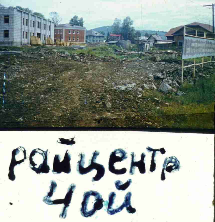 335.jpg