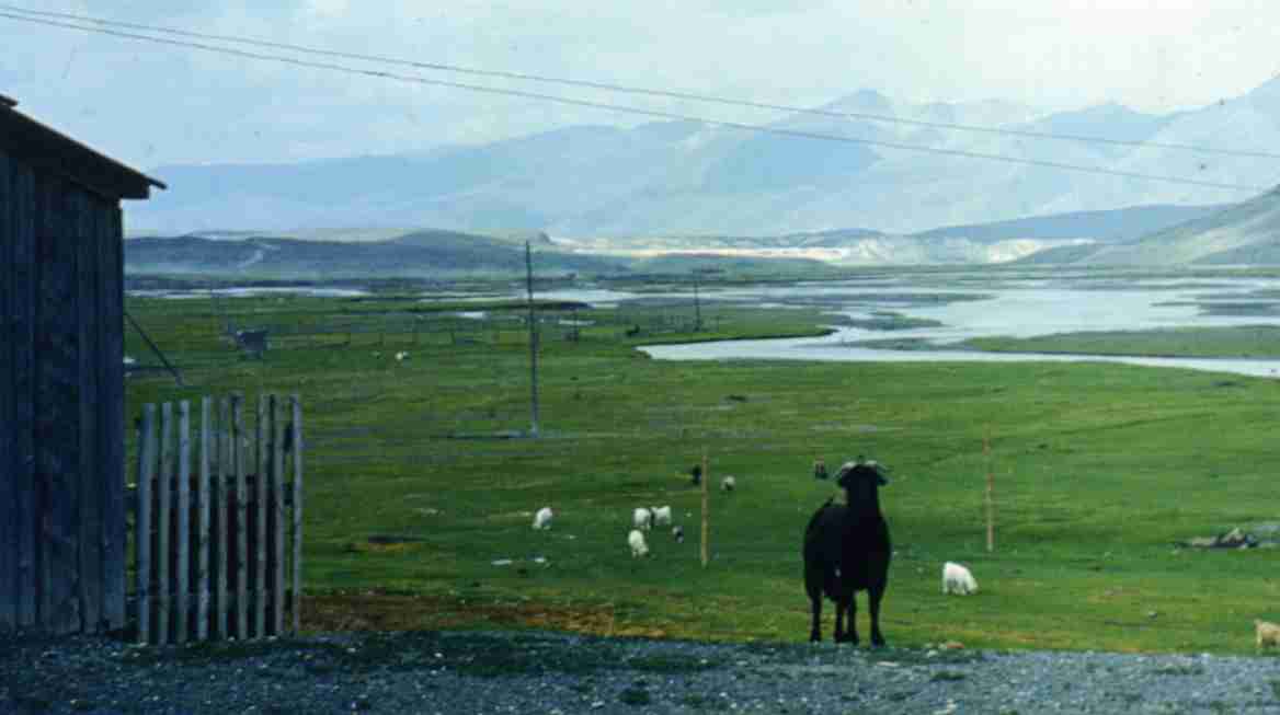 135.jpg