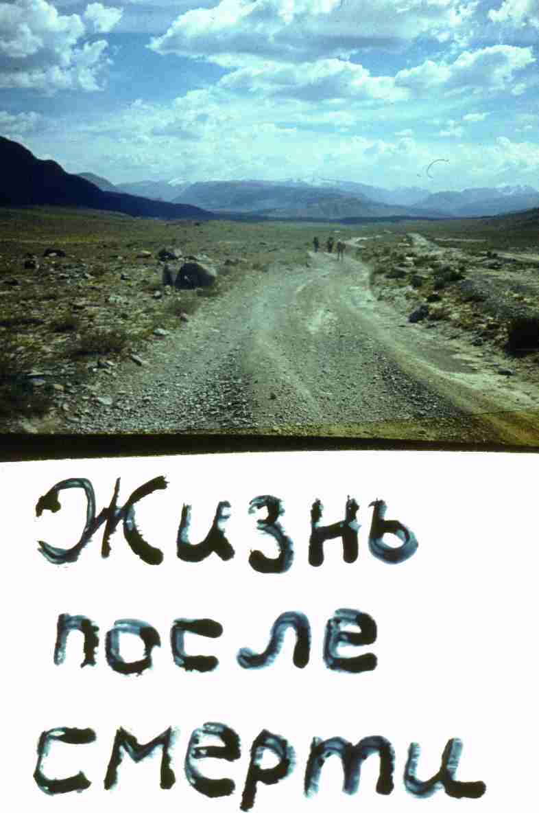 145.jpg