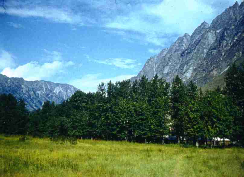 191.jpg