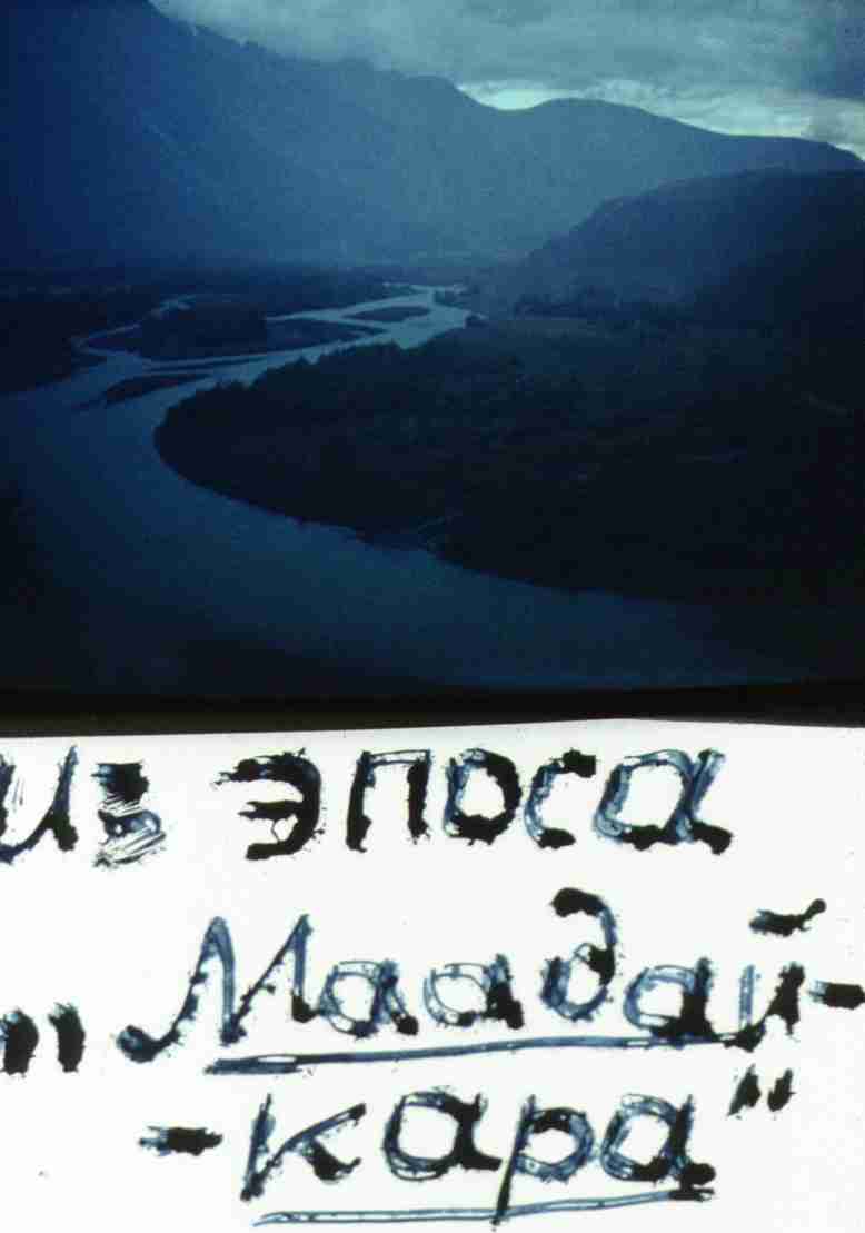 215.jpg