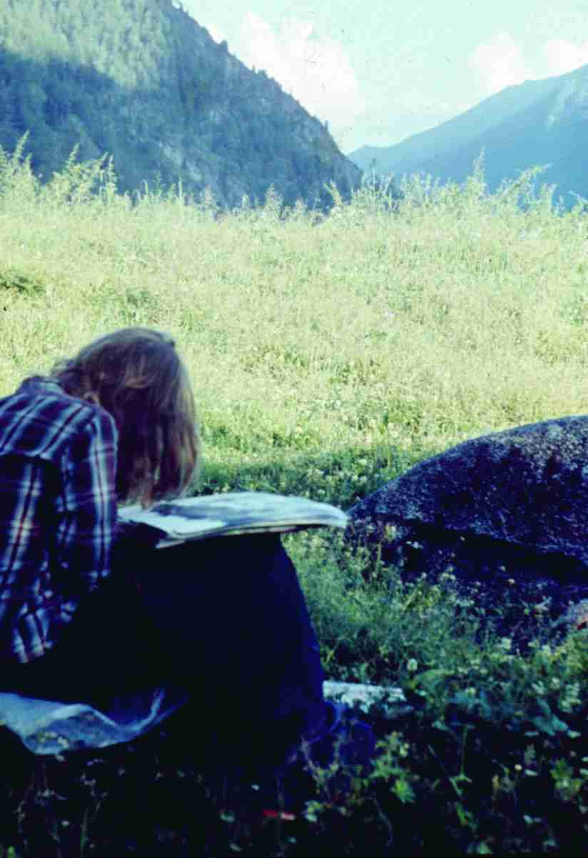 223.jpg