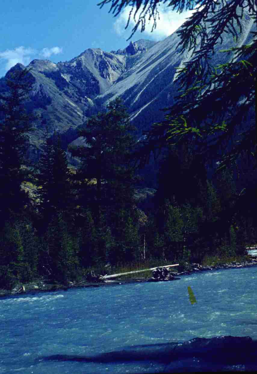 226.jpg