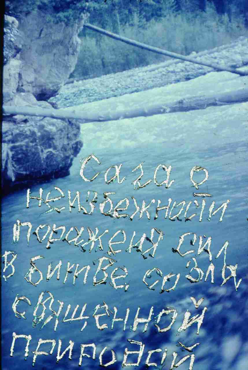 255.jpg