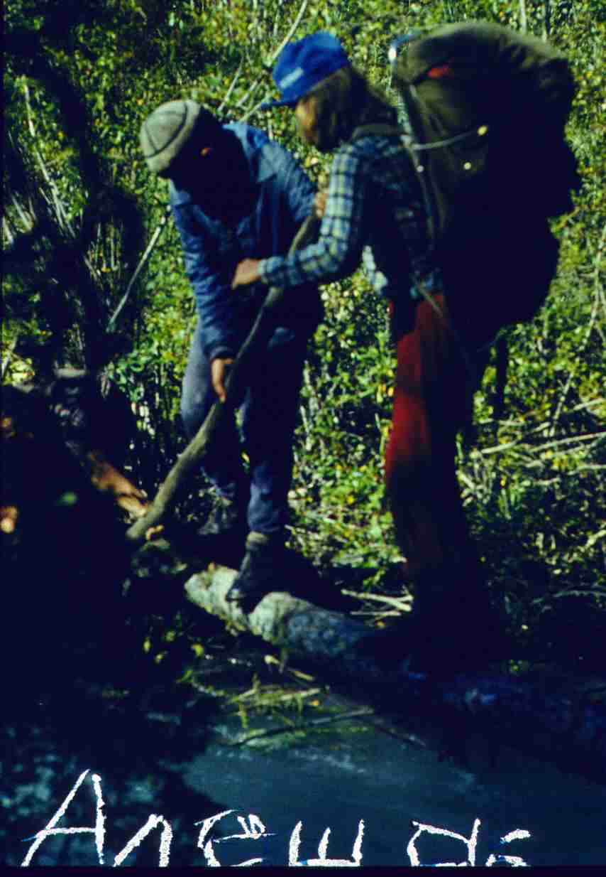 258.jpg