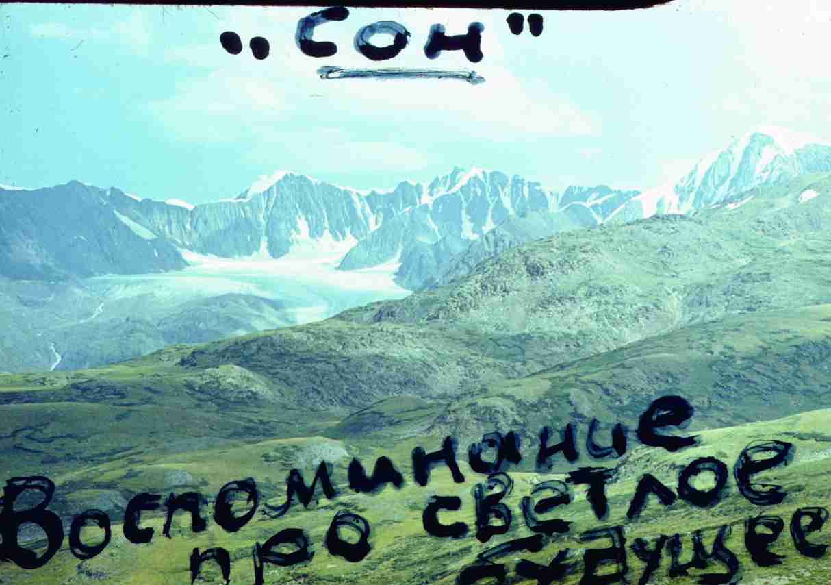 329.jpg
