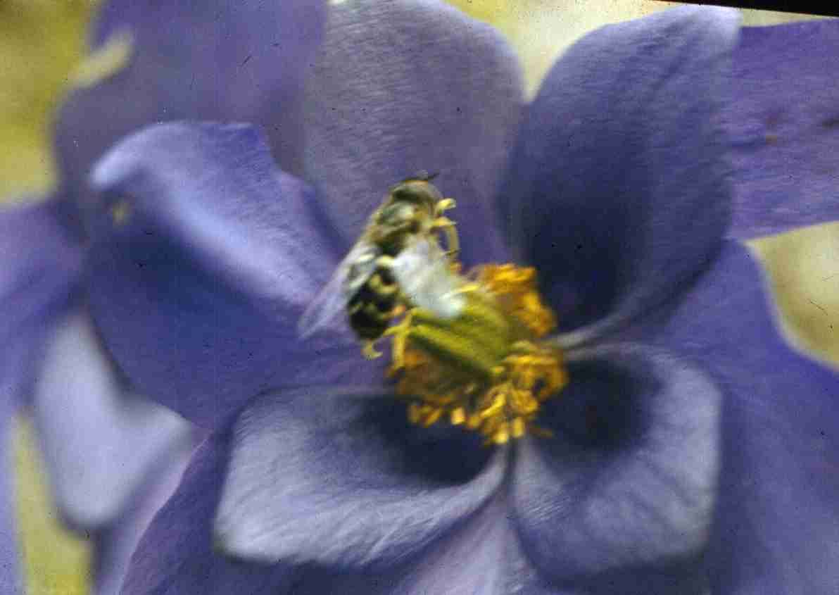 373.jpg