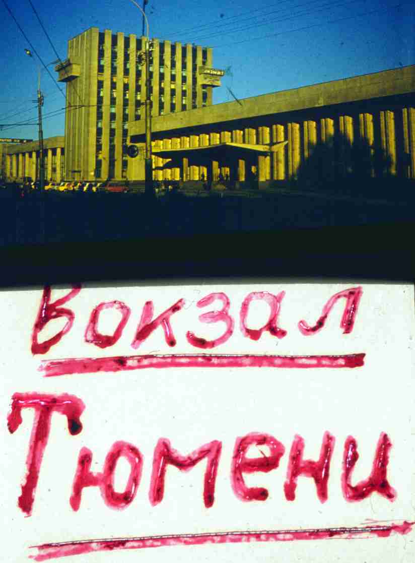 131.jpg