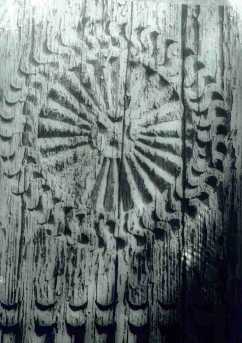 187.jpg