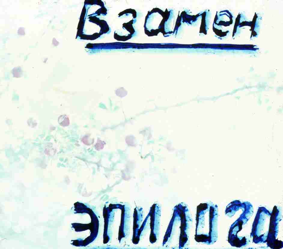 195.jpg