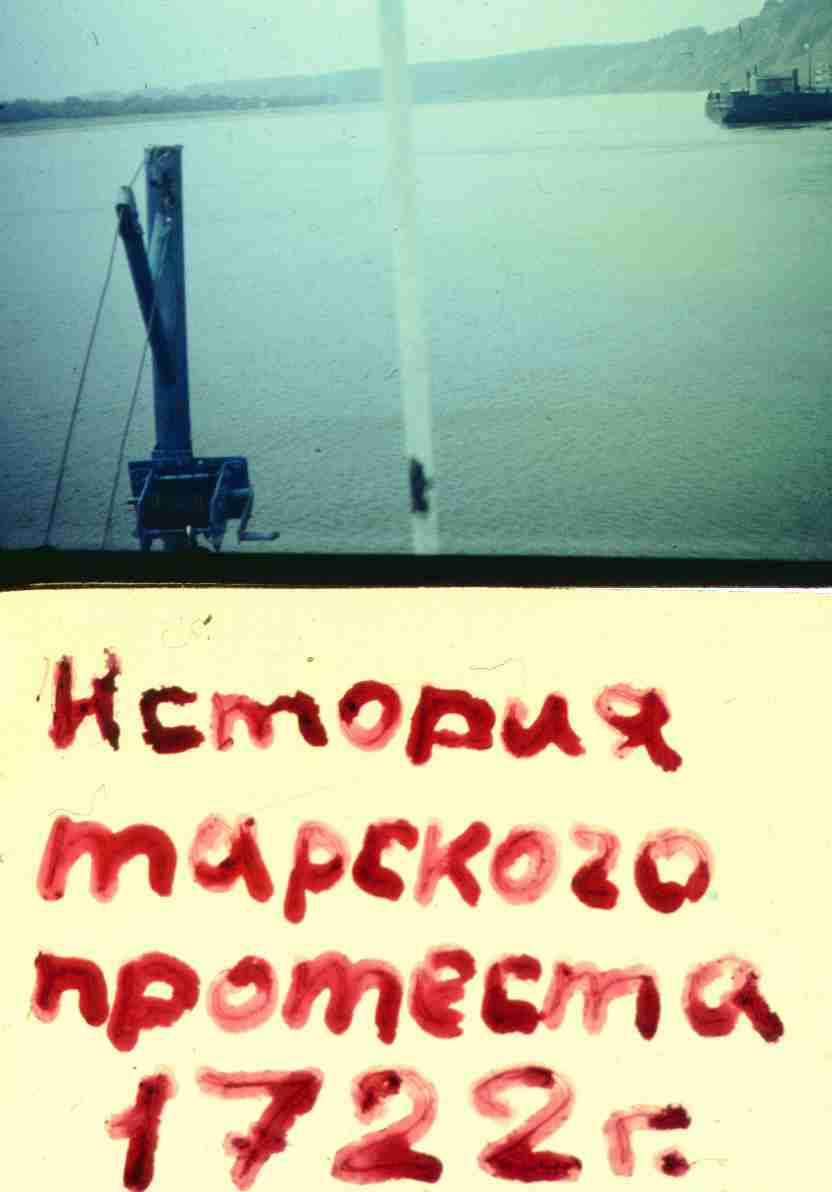 048.jpg