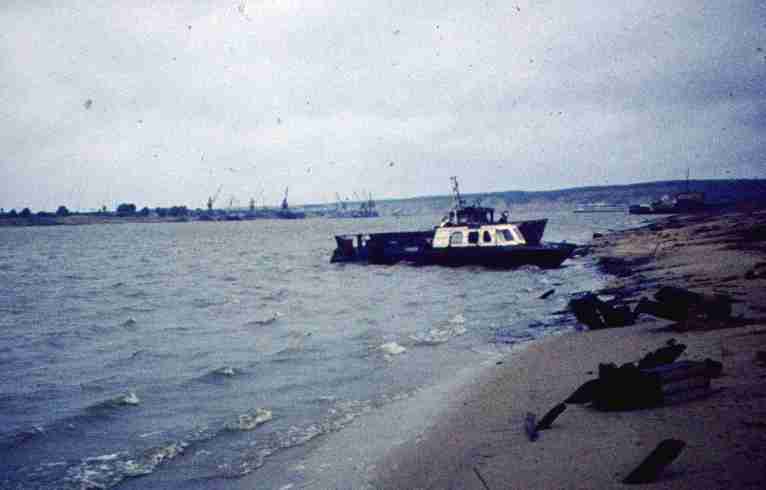050.jpg