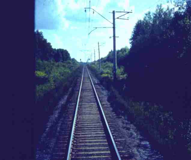 166.jpg