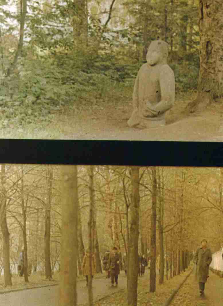 180-1.jpg