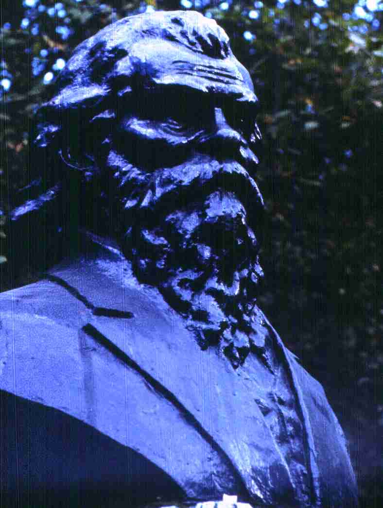 215.jpg