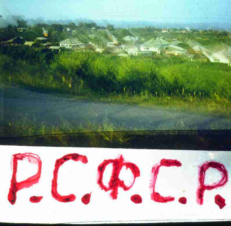 304.jpg