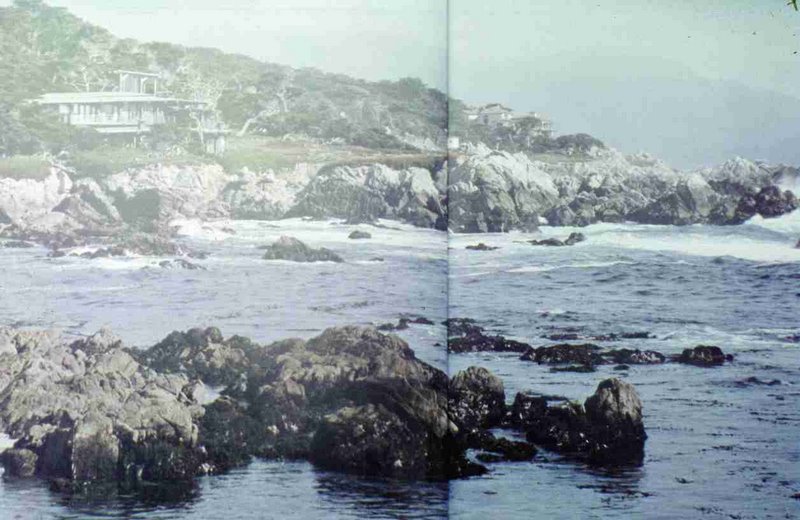 153.jpg