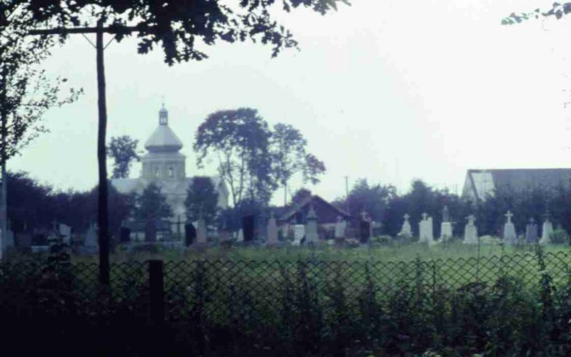 163.jpg