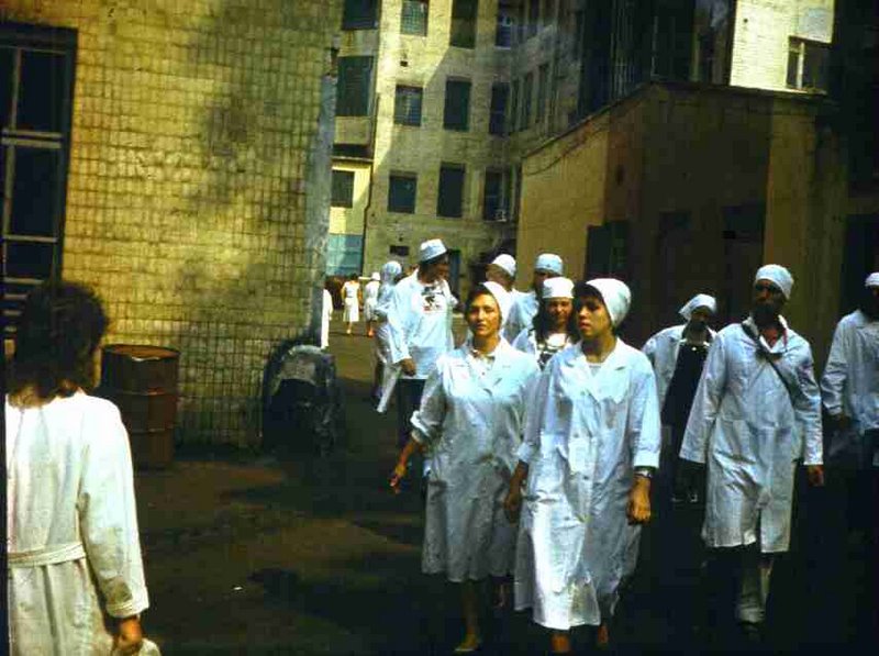 198.jpg