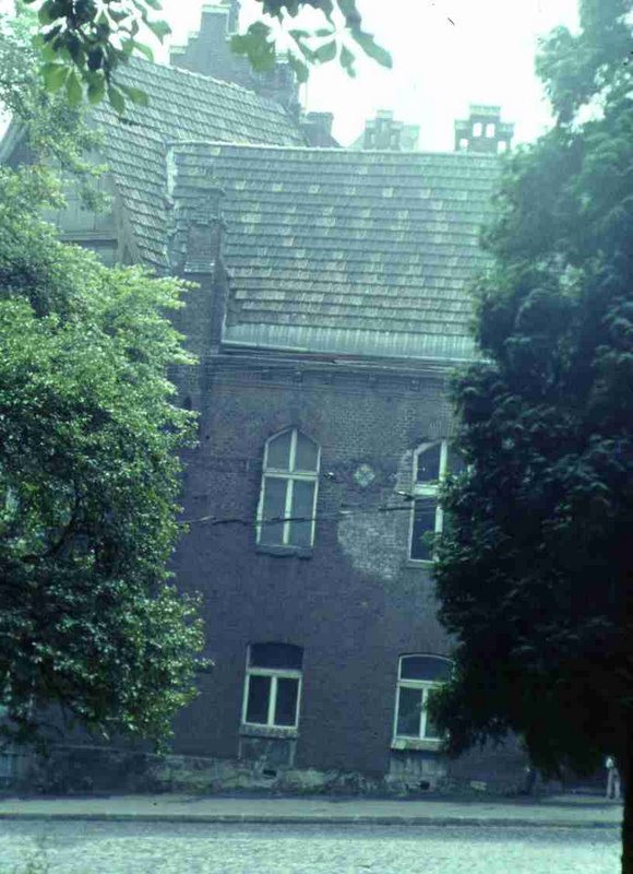 236.jpg
