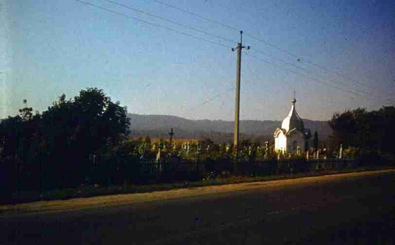 281.jpg