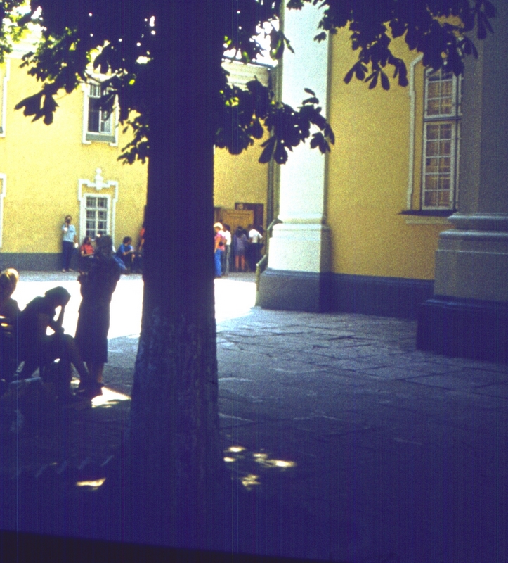 294.jpg