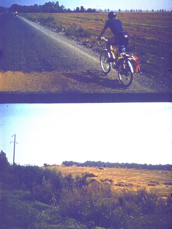 318.jpg