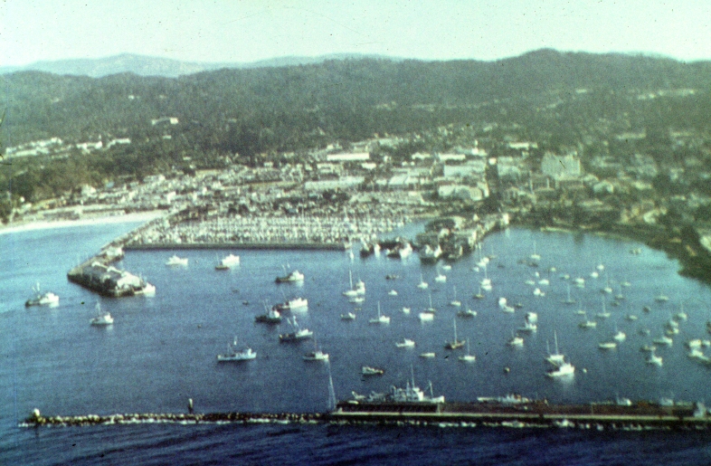 357.jpg