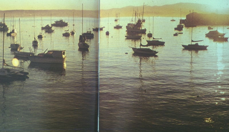 361.jpg