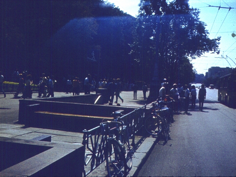 378.jpg