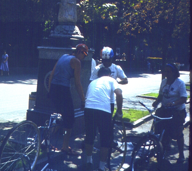379-1.jpg