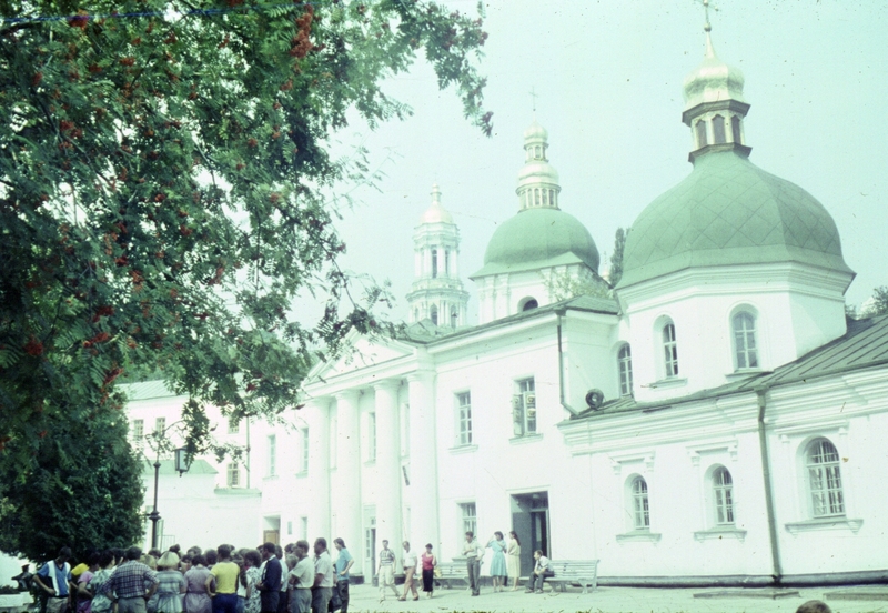 449.jpg