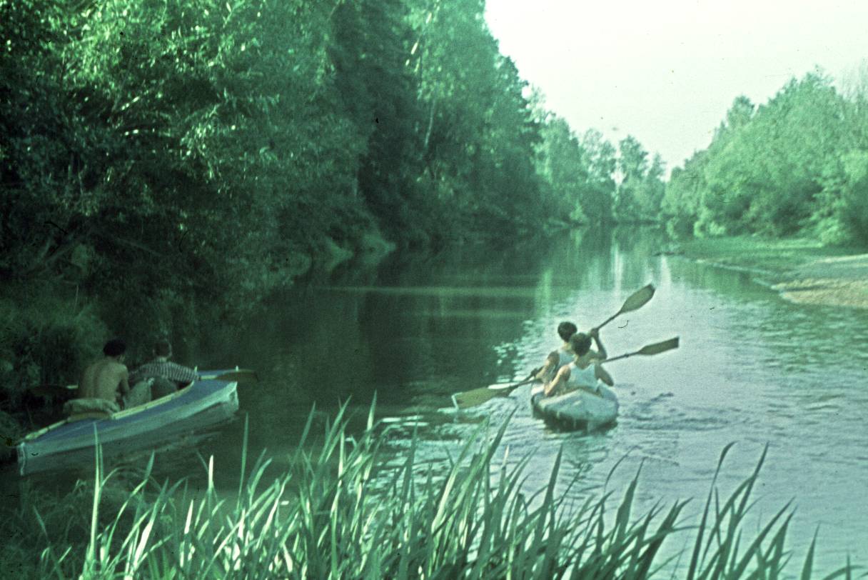 036.JPG