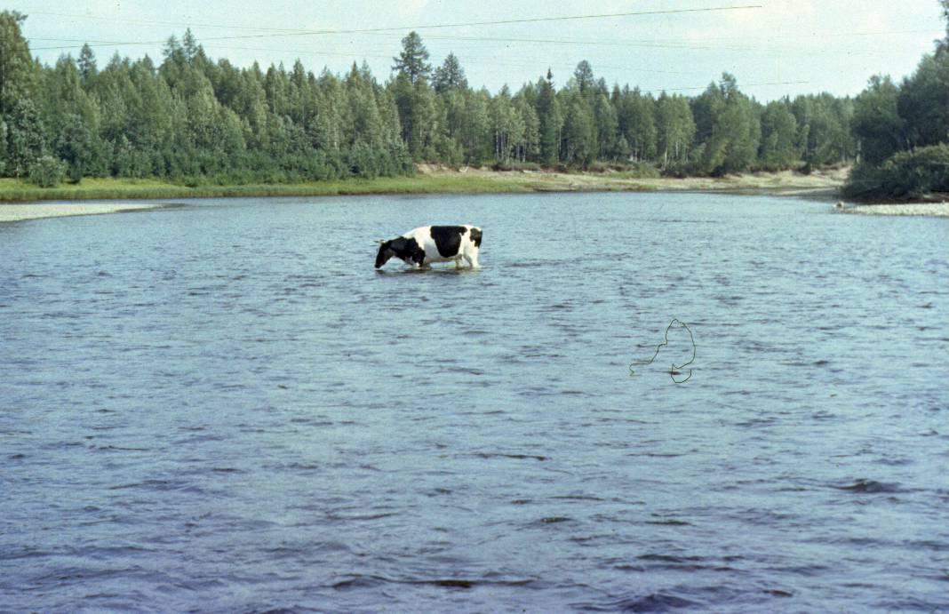 104.JPG
