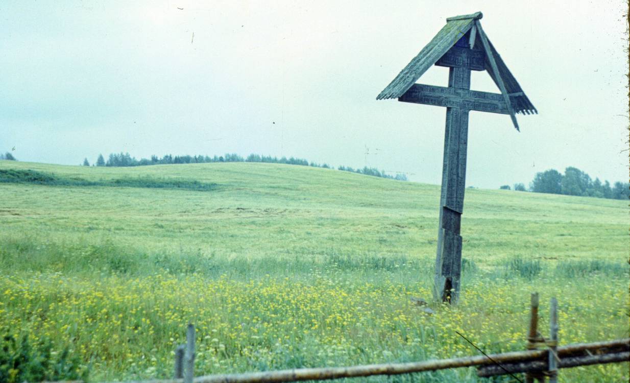 174.JPG