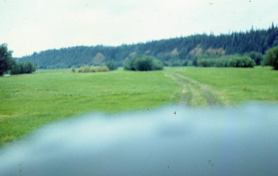 185.JPG