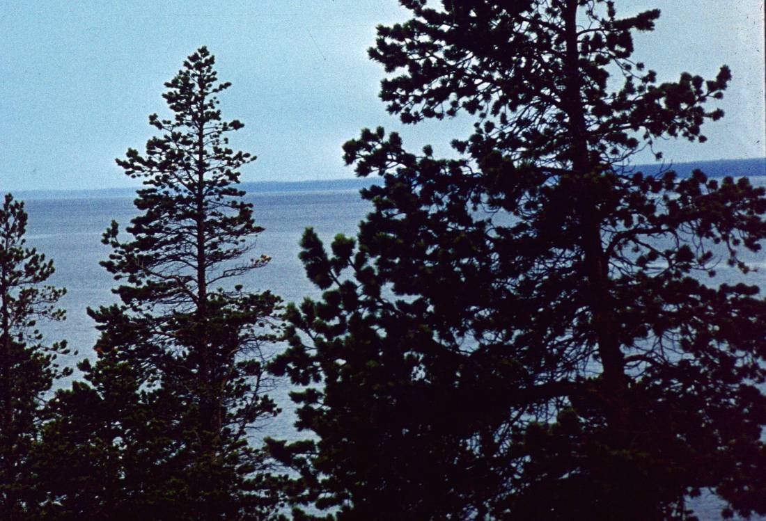 249.JPG