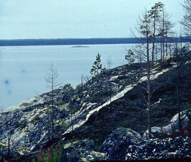 252.JPG