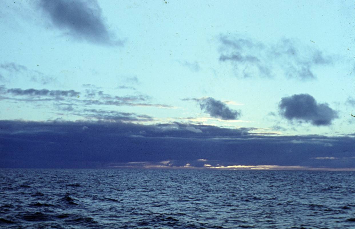 256a.JPG