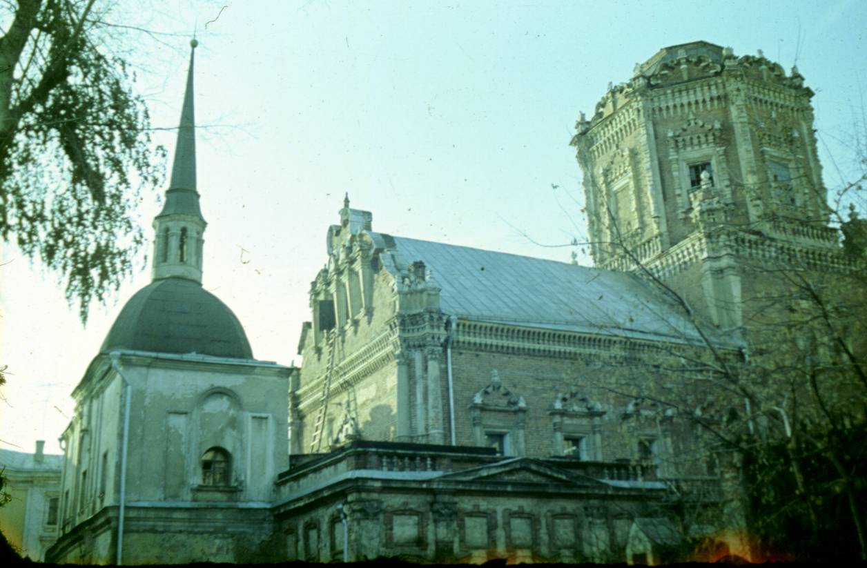 263.JPG